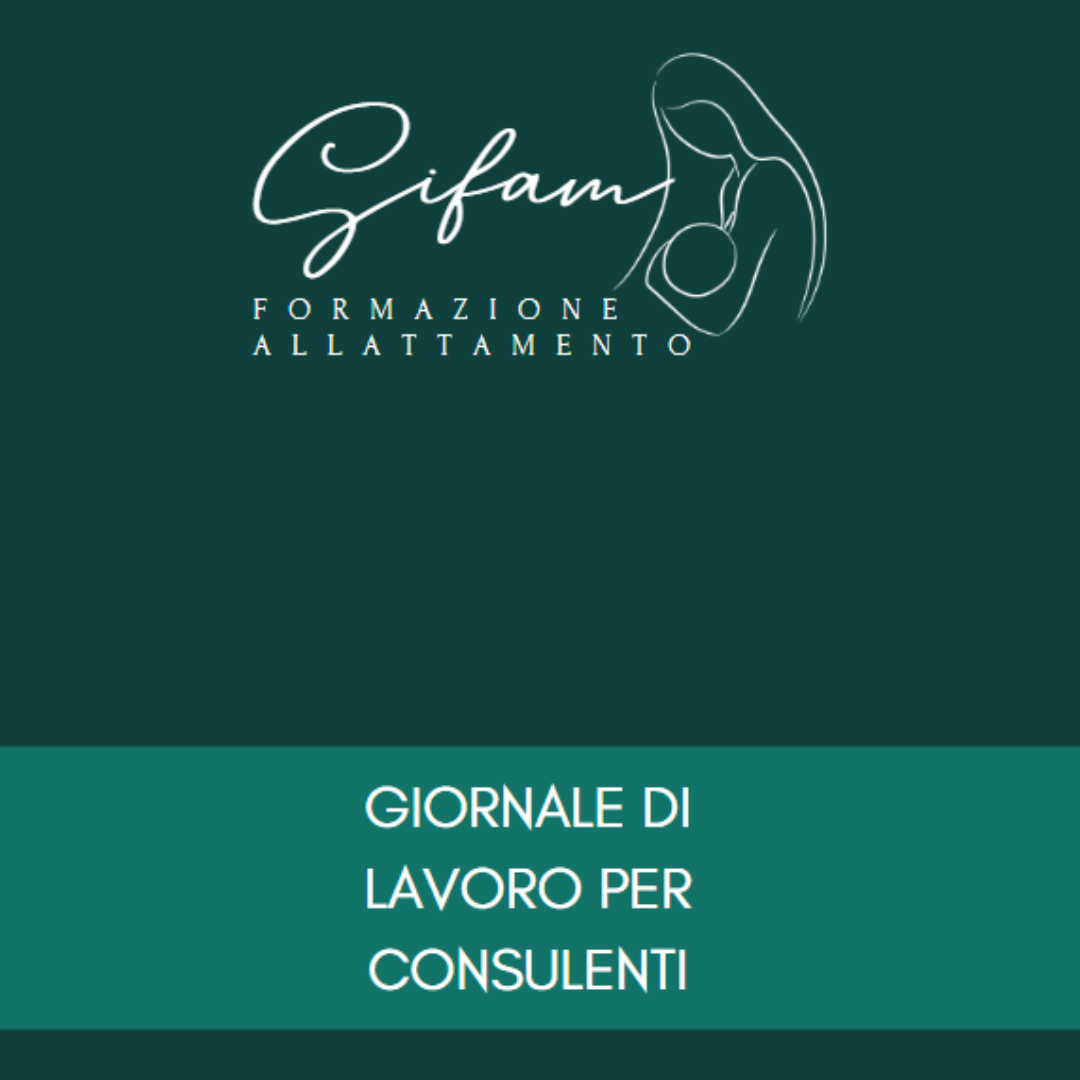 Giornale di lavoro per consulenti